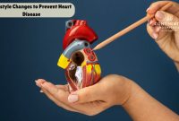 How To Prevent Heart Disease With Lifestyle Modifications