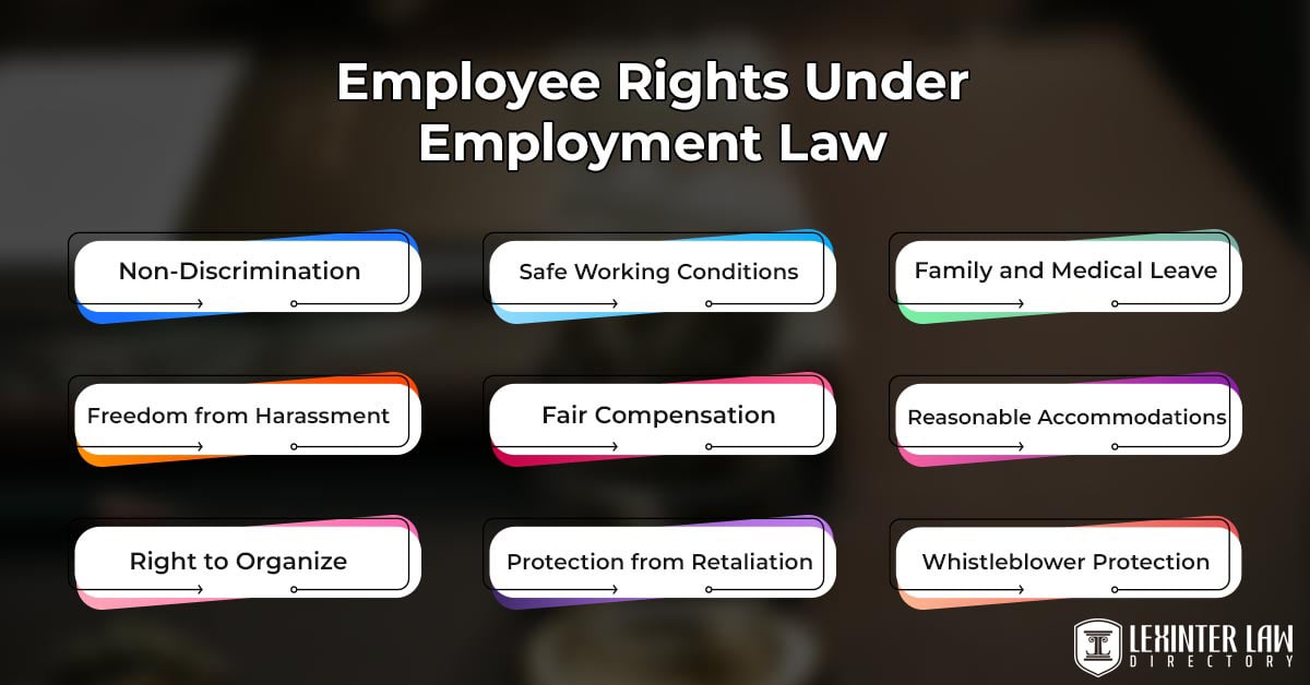 How Does Employment Law Protect Workers' Rights